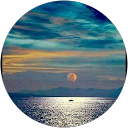 alon katz profile picture